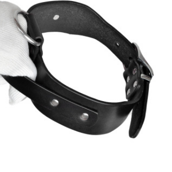 Collar Ajustable para Perros Medianos y Grandes - Image 9