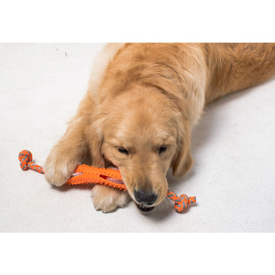 Cepillo Dental para Perros con Cerdas de Goma Suave - Image 9