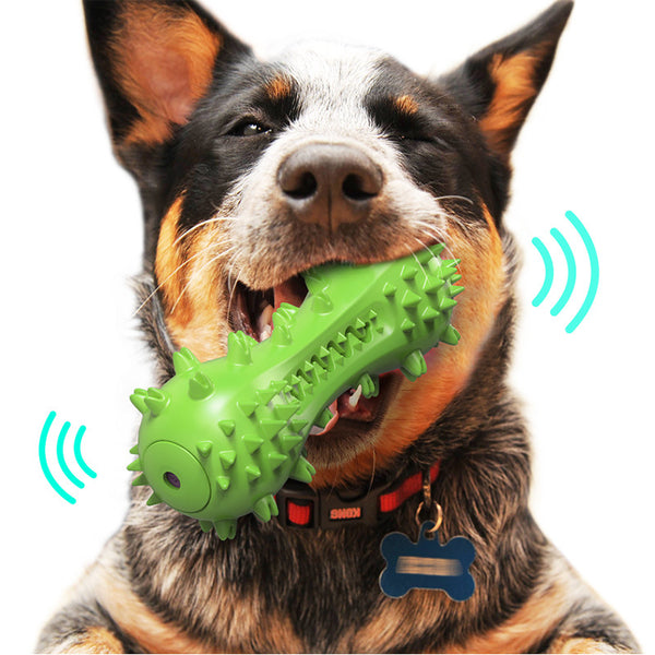 Juguete Interactivo Dental para Perros con Sonido