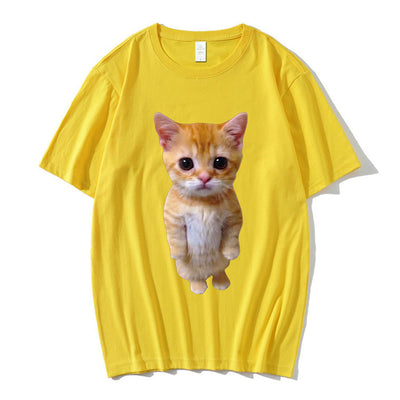Gatito Triste Llorando - Peluche Munchkin Adorable - Image 9