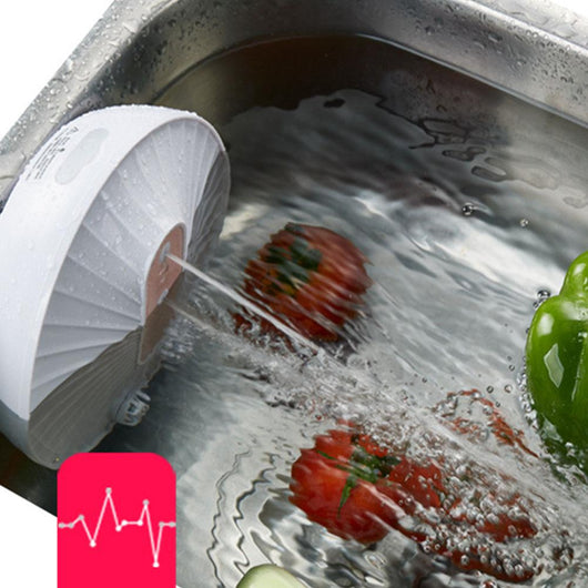 Lavador Portátil USB para Frutas y Verduras