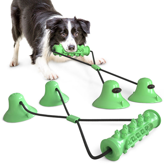 Juguete Interactivo Doble Ventosa para Perros con Masajeador Dental