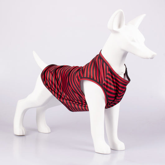 Chaleco Rayado Transpirable para Perros - Ropa Cómoda y Fresca - Image 4