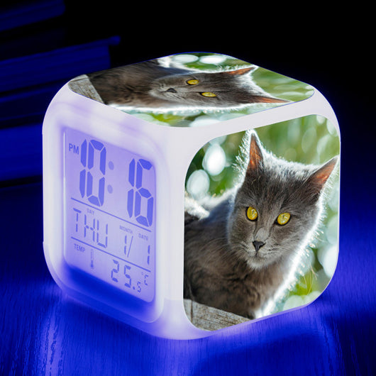 Reloj Despertador Cuadrado Multicolor para Gatos - Image 43