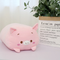 20 Cm Pig