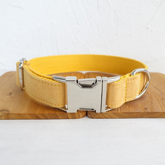 Collar Ajustable para Perro - Image 13
