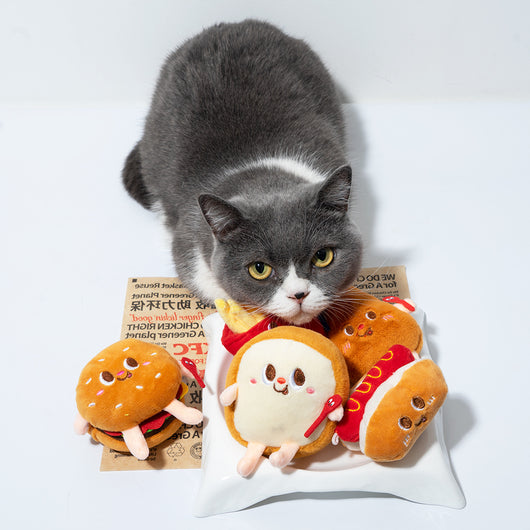 Juguete Mordedor para Gatos con Catnip - Hamburguesa y Pata de Pollo Resistente - Image 11