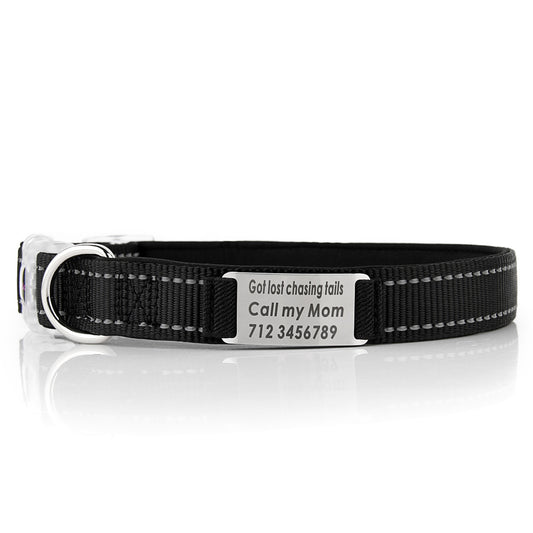 Collar de Perro Personalizado de Nylon