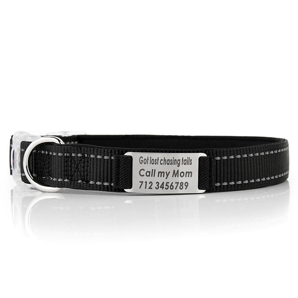 Collar de Perro Personalizado de Nylon