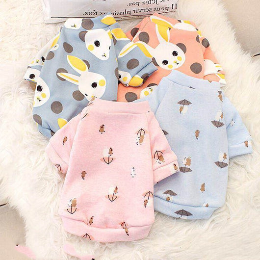 Ropa de Abrigo para Perros Pequeños - Colección Otoño Invierno