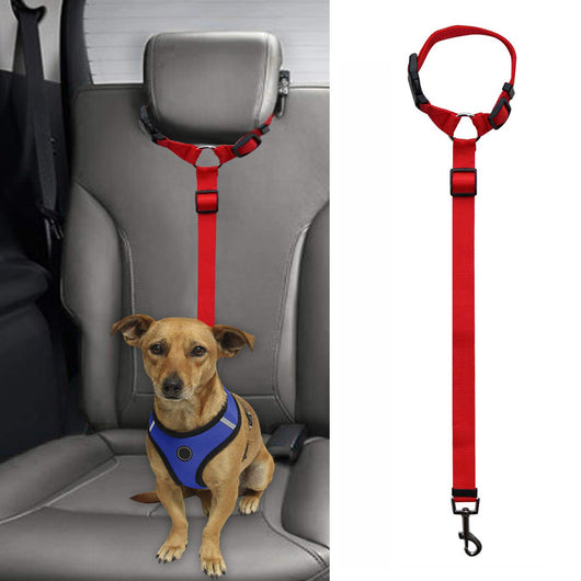 Correa de Seguridad para Mascotas