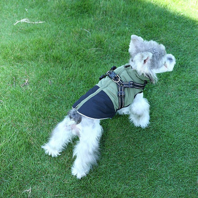 Ropa Impermeable para Mascotas en Algodón Resistente