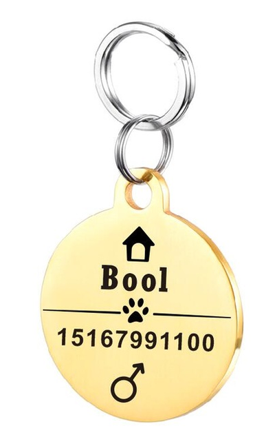Placa de Identificación para Perro en Acero Inoxidable Personalizada - Image 40