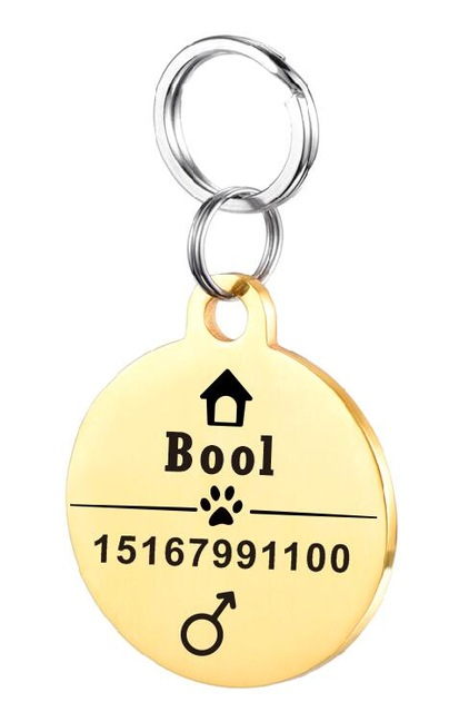 Placa de Identificación para Perro en Acero Inoxidable Personalizada - Image 40