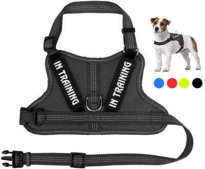 Arnés Personalizado para Mascotas - Image 5
