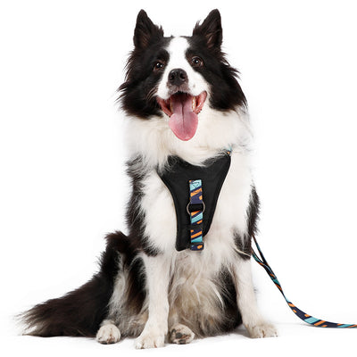 Arnés de Pecho DODOPET para Mascotas - Image 3