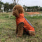 Abrigo Deportivo para Mascotas - Protección Otoño e Invierno