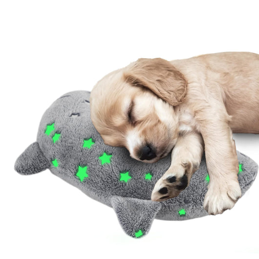 Cama Ortopédica en U Personalizada para Mascotas - Image 14