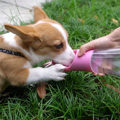 Botella de Agua Portátil para Perros con Dispensador de Alimento Integrado