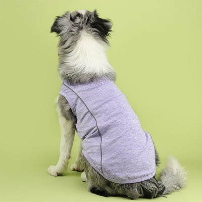 Ropa Reflectante para Perros Pequeños - Chaleco Luminoso Teddy, Pomerania y Pug - Image 34