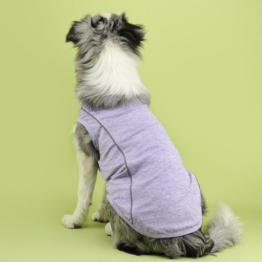 Ropa Reflectante para Perros Pequeños - Chaleco Luminoso Teddy, Pomerania y Pug - Image 34