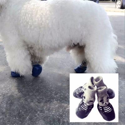 Botines Protectores para Mascotas - Image 4