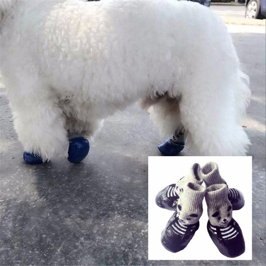 Botines Protectores para Mascotas - Image 4