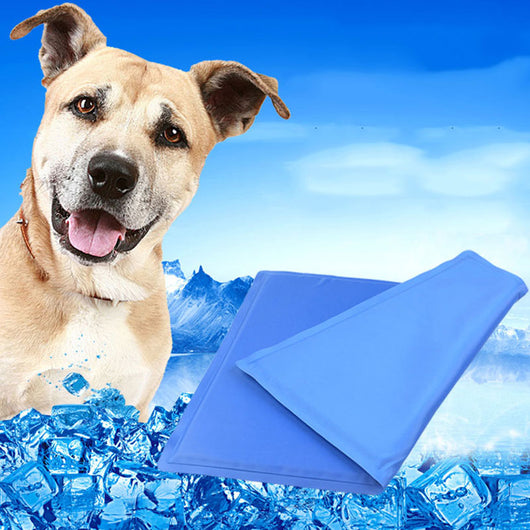 Colchoneta Refrescante para Perros - Cama Gel Frío para Viajes en Auto - Image 2