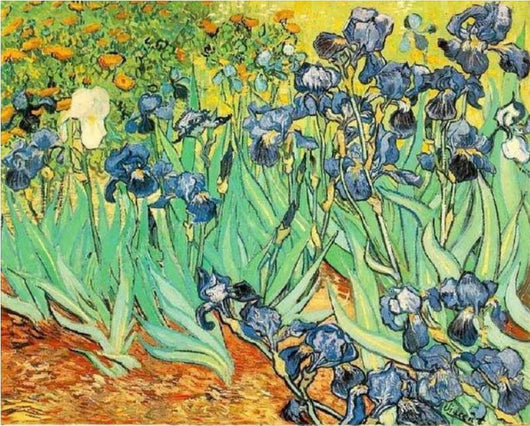Kit de Pintura por Números Digital - La Noche Estrellada sobre el Ródano de Van Gogh - Image 10