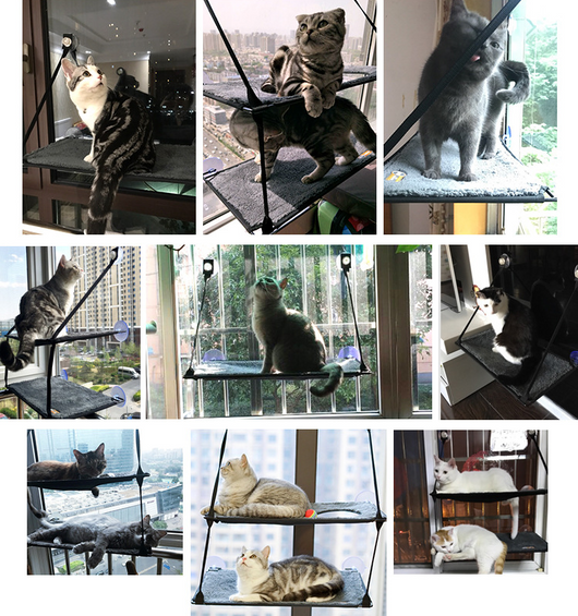 Cama Hamaca para Gato de Ventana con Ventosas de Alta Succión - Image 6