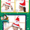 Gorro Navideño LED Santa con Música y Luces