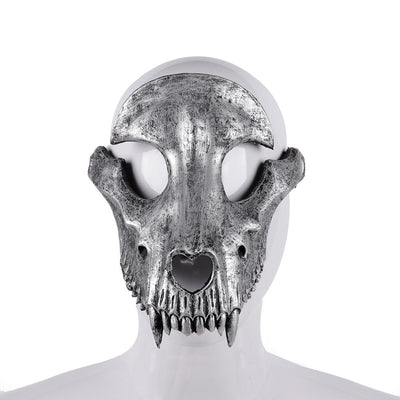 Calavera de Hueso de Oveja para Decoración