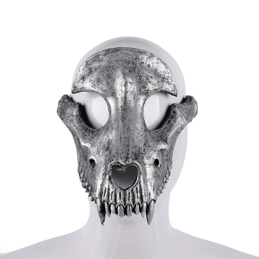 Calavera de Hueso de Oveja para Decoración