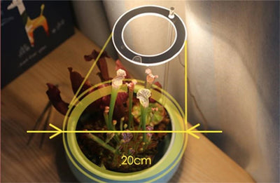 Lámpara LED de Espectro Completo para Plantas de Interior con USB - Image 8
