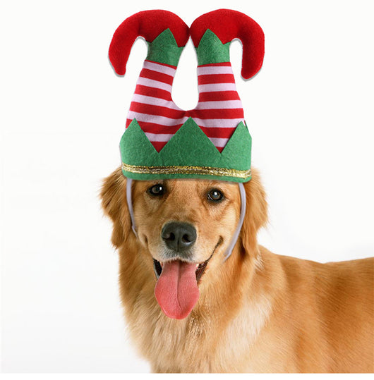 Gorro Navideño Payaso a Rayas para Mascotas - Adorno Divertido para Perros - Image 13