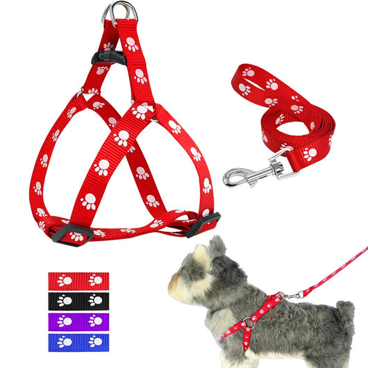 Correa para Perro Estampada