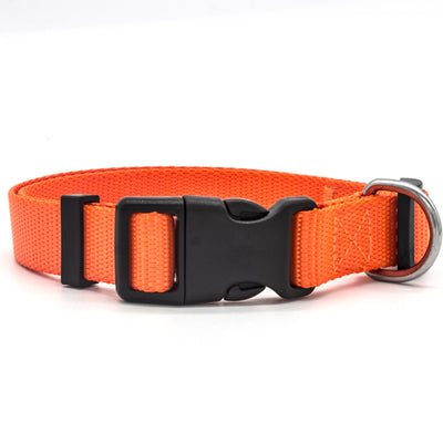 Collar para Mascotas Premium y Ajustable - Image 9