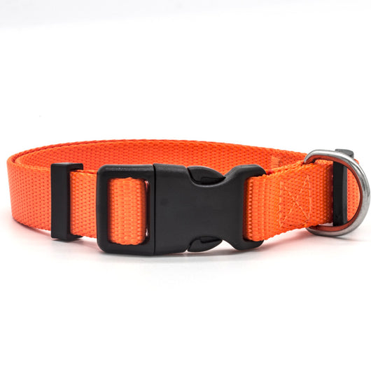 Collar para Mascotas Premium y Ajustable - Image 9