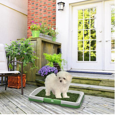 Inodoro Portátil para Perros con Césped Artificial