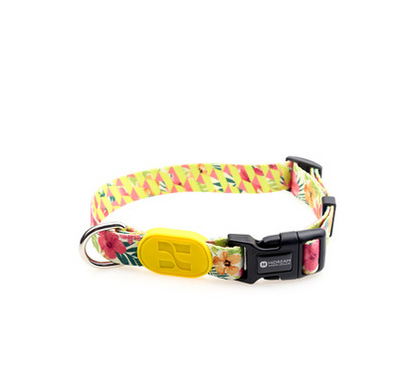 Collar de Perro Colorido - Image 6
