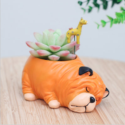 Maceta Decorativa Mascota Durmiente con Suculenta - Image 16