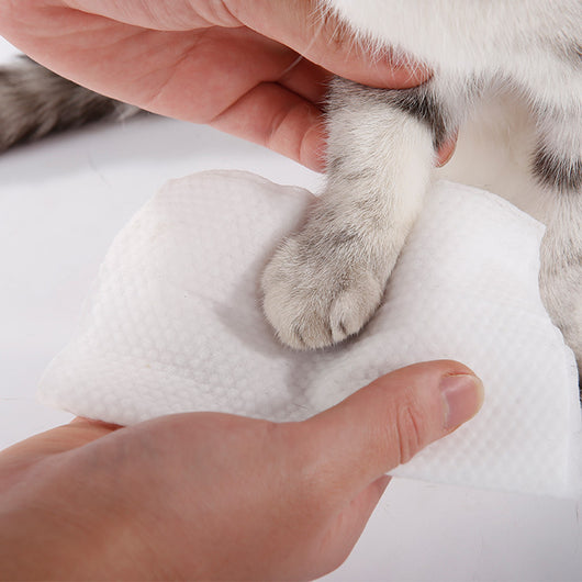 Toallitas Estériles para Limpiar Lagañas en Perros y Gatos - Image 4