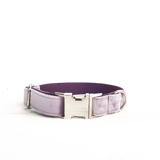 Collar y Correa para Perros - Control Seguro y Cómodo - Image 13