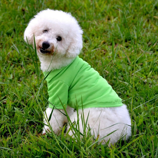 Polo de Algodón para Perros - Camisa Casual Cómoda y Elegante - Image 2