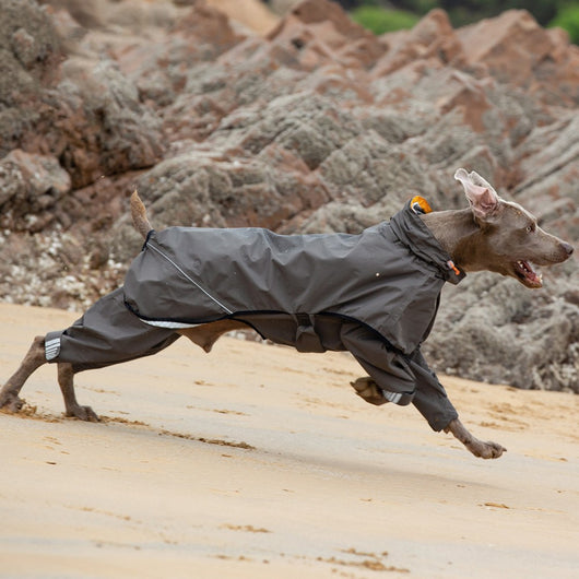 Poncho Impermeable para Perros Medianos y Grandes - Image 4