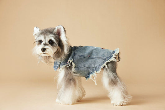 Chaleco Denim sin Mangas con Bordado Schnauzer Maltés Teddy - Image 30