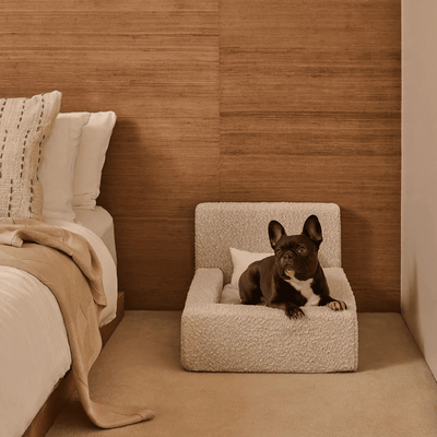 Cama Ortopédica Móvil para Perros y Gatos con Respaldo - Image 8