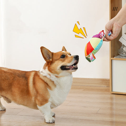 Discos Voladores Interactivos para Perros con Sonido y Peluche Resistente - Image 6