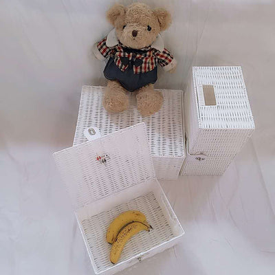 Canasta de Almacenamiento de Ratán Plástico con Tapa para Escritorio - Image 21
