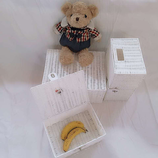 Canasta de Almacenamiento de Ratán Plástico con Tapa para Escritorio - Image 21
